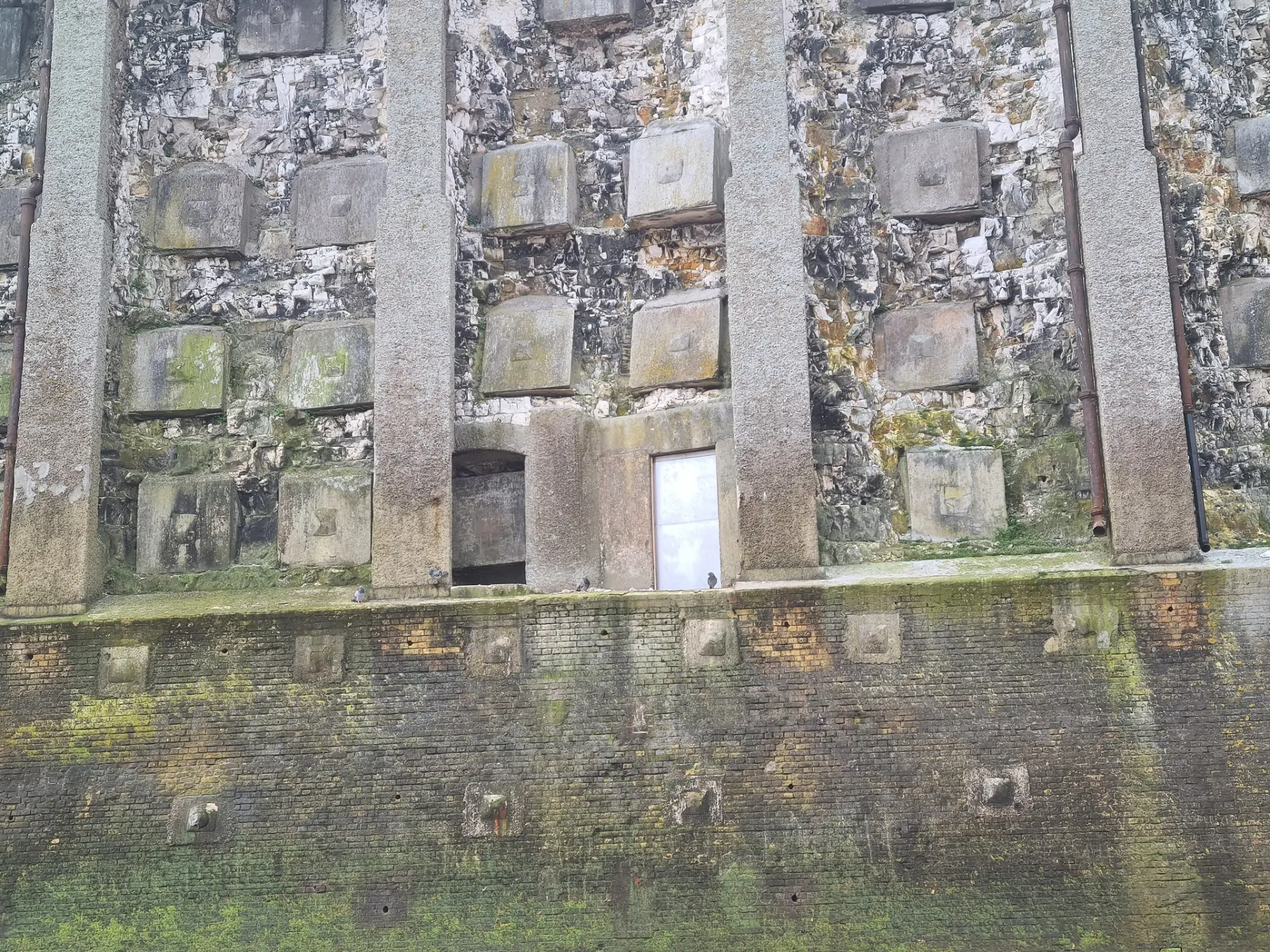 Gallery Image 19