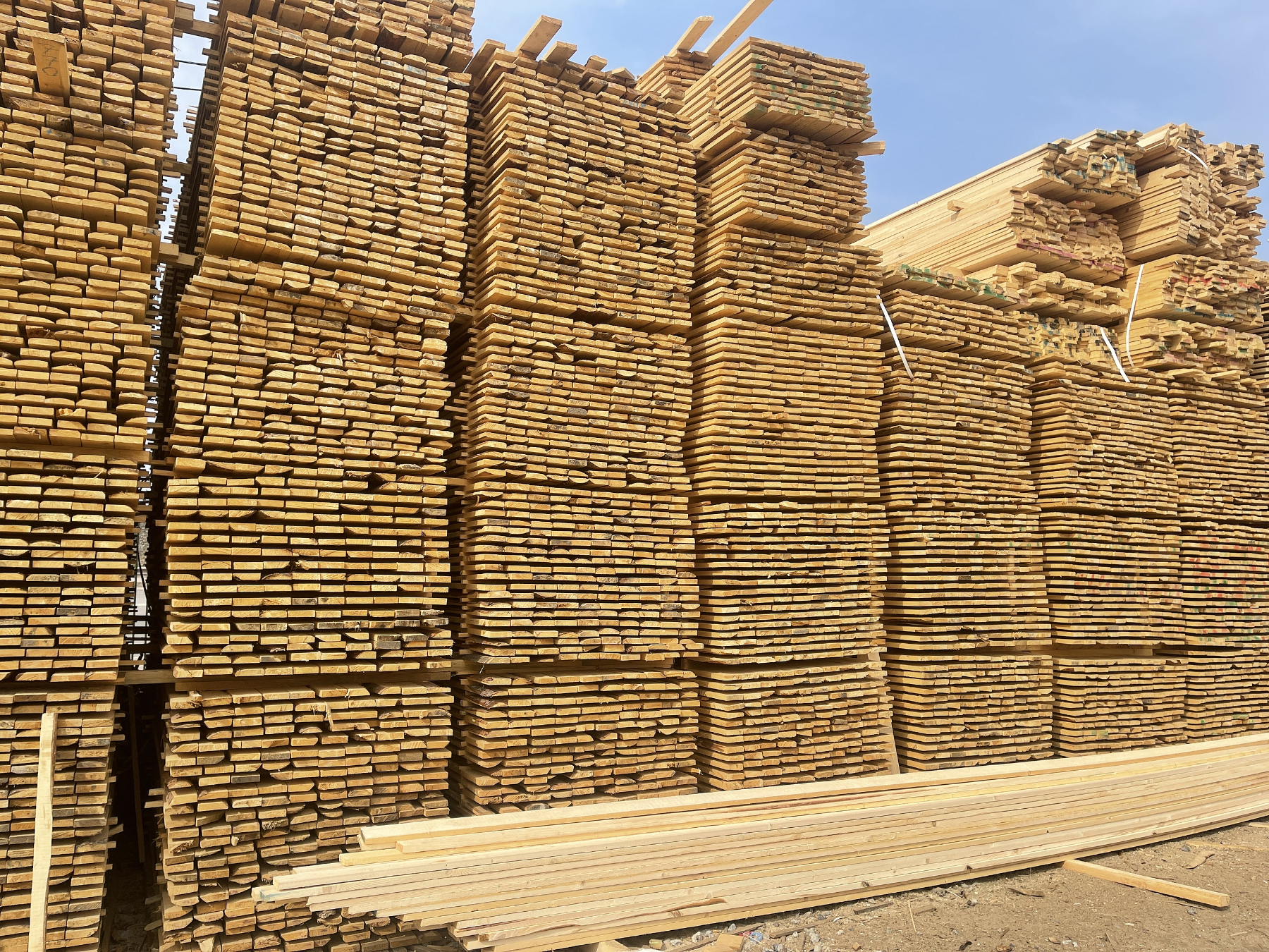 Why Timber Remains a Top Material for DIY Projects