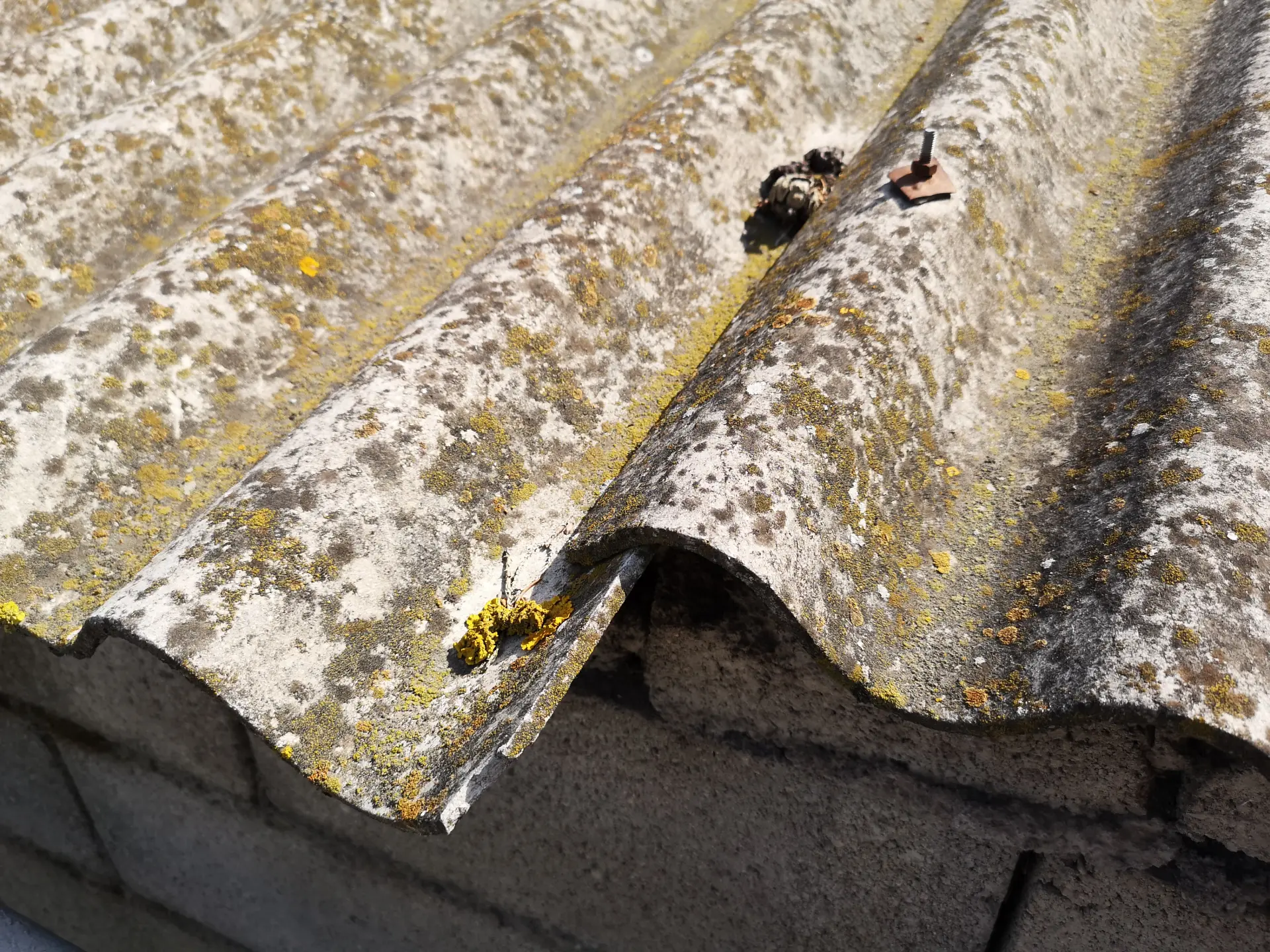 Can I Do an Asbestos Awareness Course Online Image