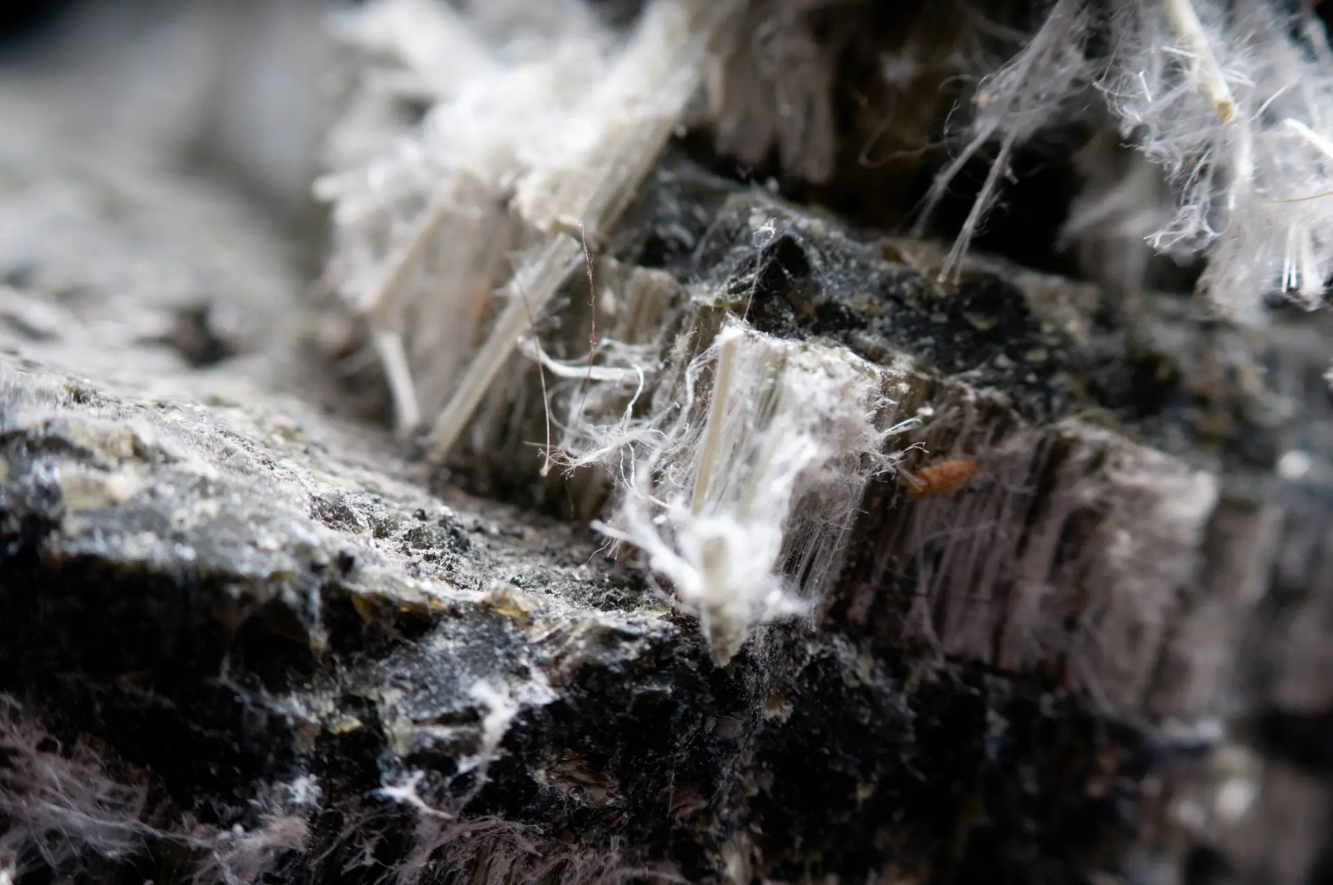 Choose the Right Course - Asbestos Awareness Course