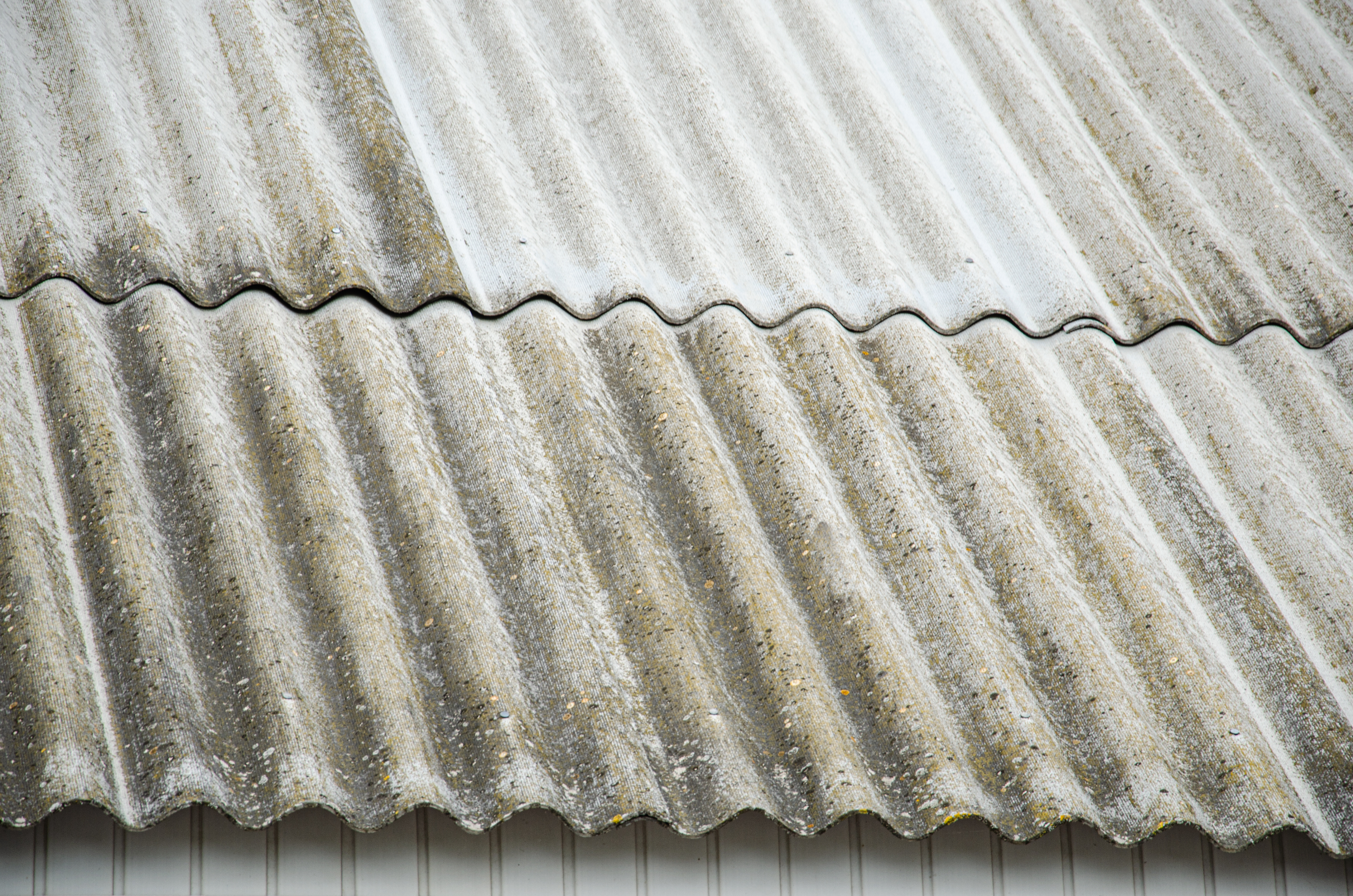 What Is an Asbestos Survey and Why Is It Needed What Is an Asbestos Survey and Why Is It Needed