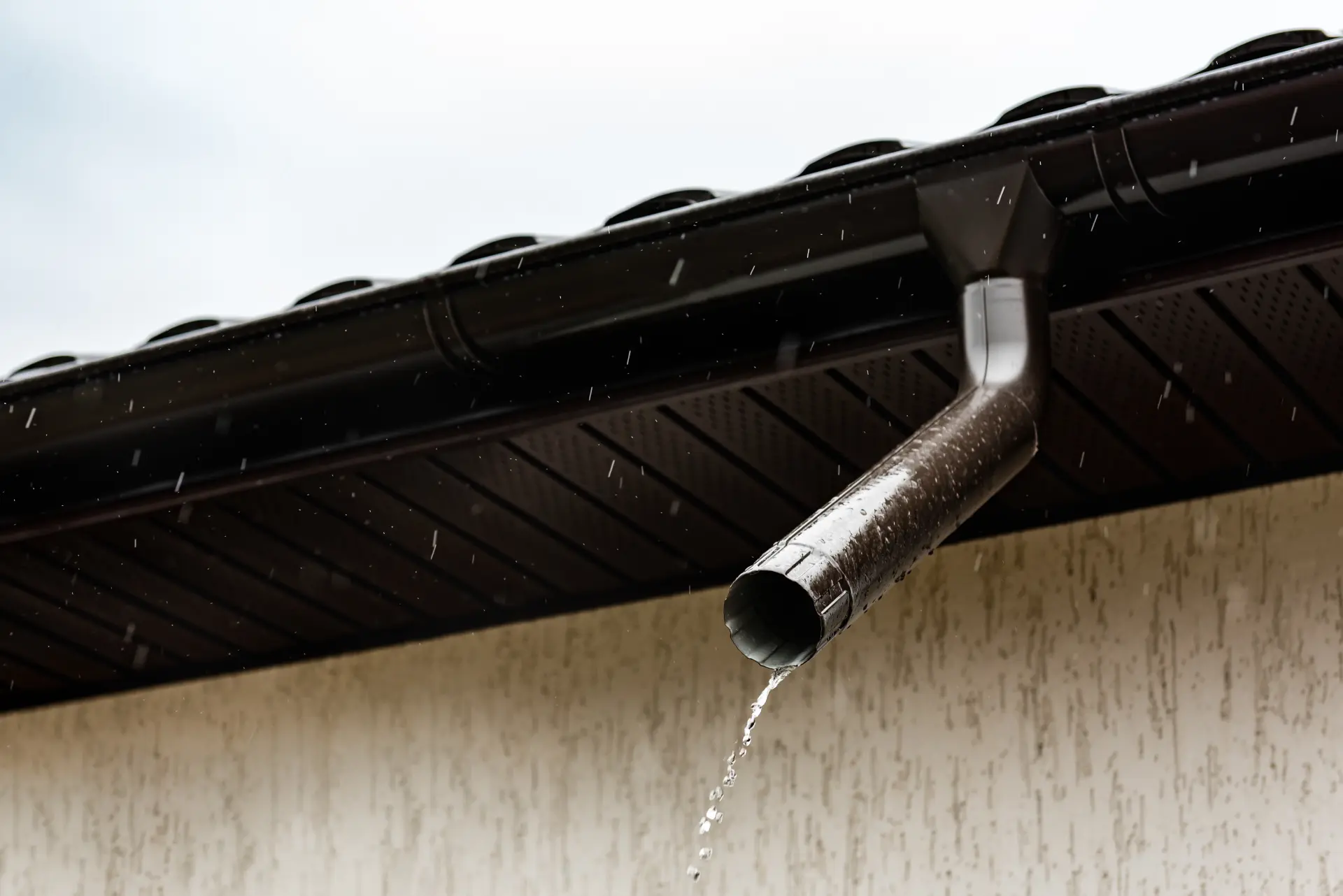 Signs Your Gutters Are Blocked Signs Your Gutters Are Blocked