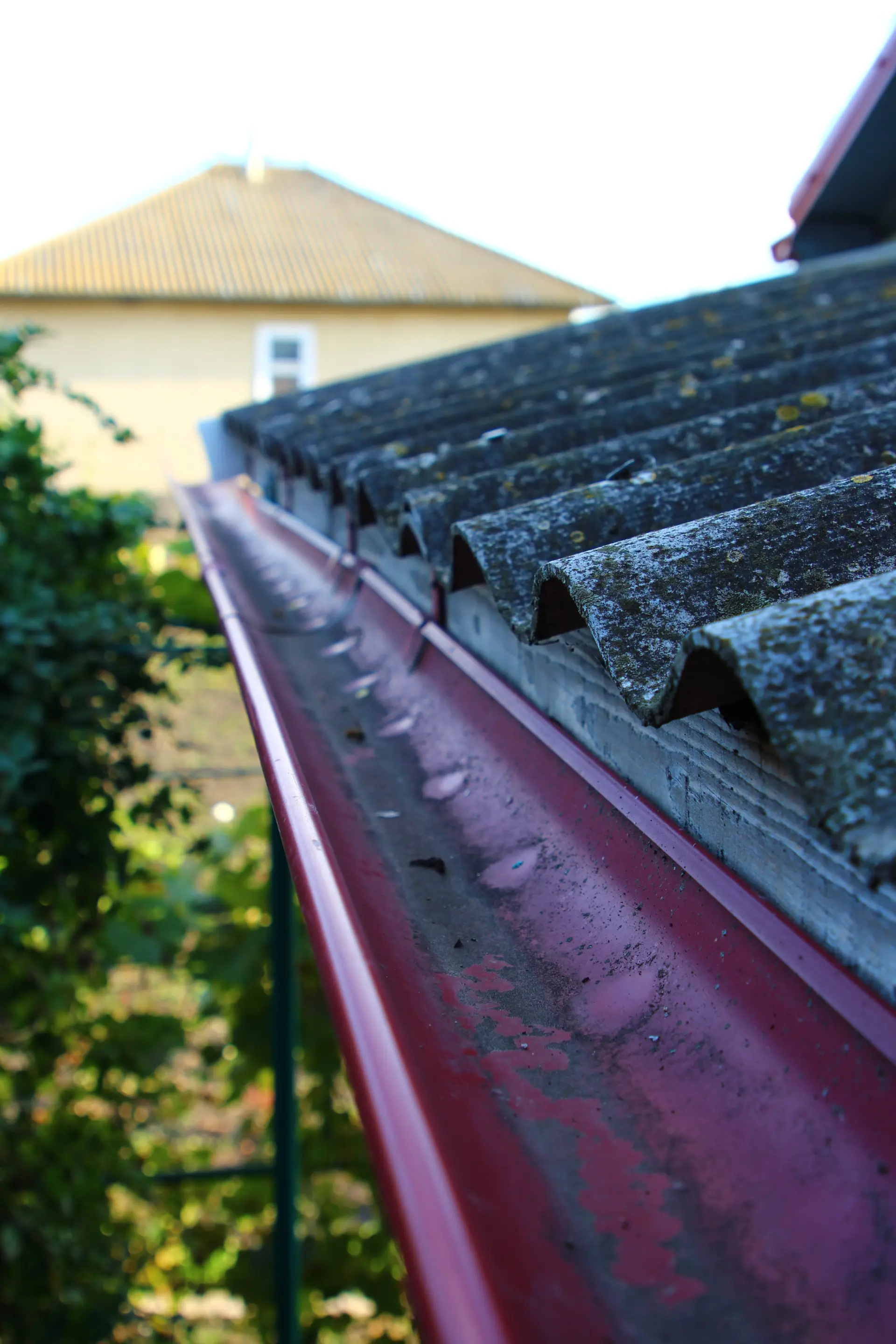 DIY or Professional - How Often Should You Clean Your Gutters?