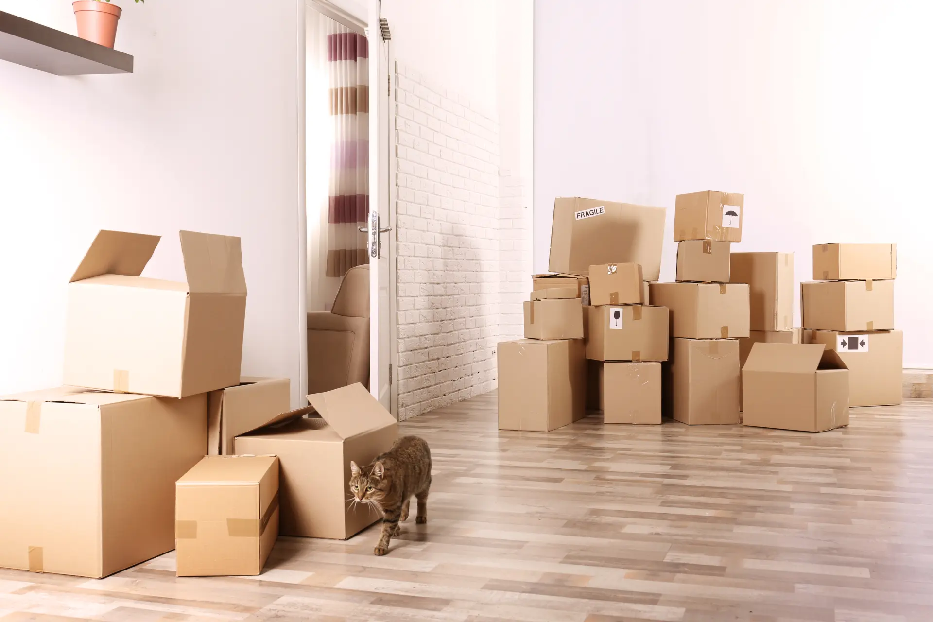 House Moving Eastwood
