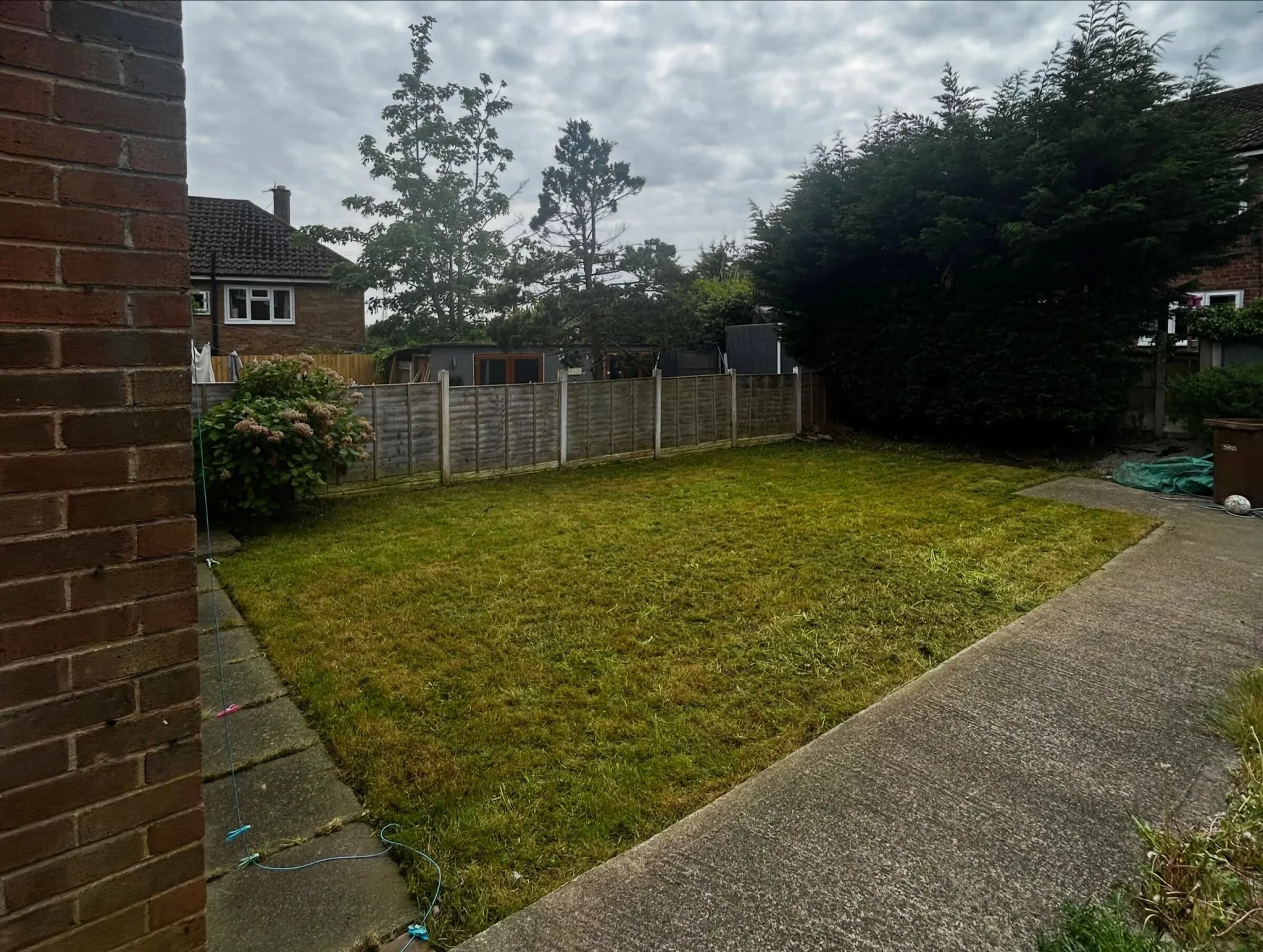 Back garden lawn after cutting