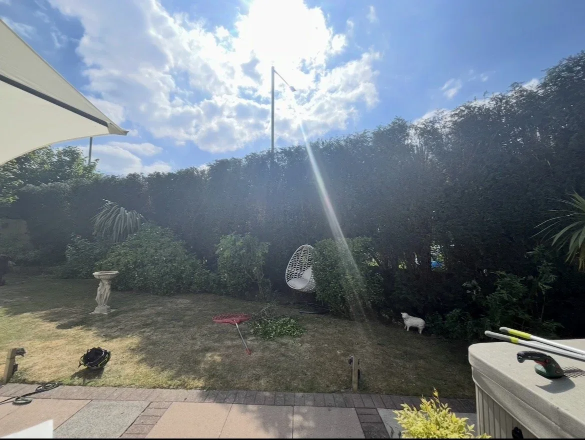 Back garden with a tall boundary hedge and lawn