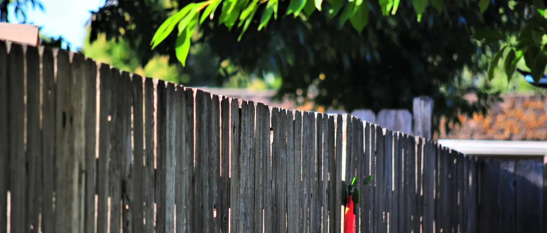 How Garden Fencing Can Add Value to Your Home How Garden Fencing Can Add Value to Your Home Image