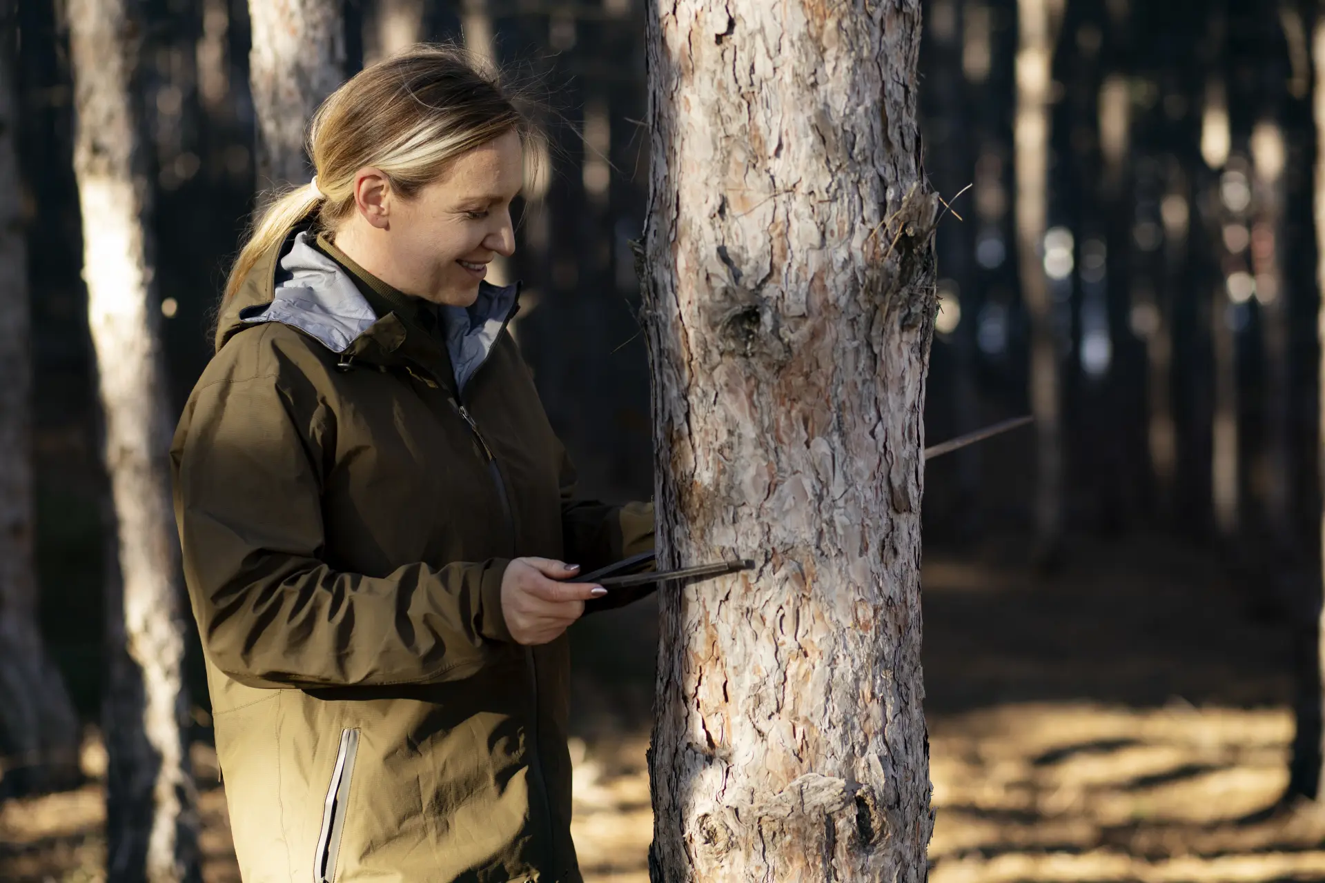 Tree Health Checks
