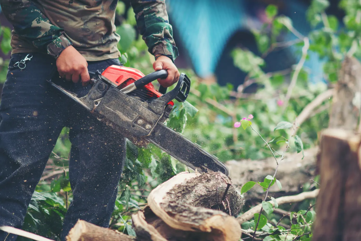 Tree Felling Warrington, Widnes, Runcorn