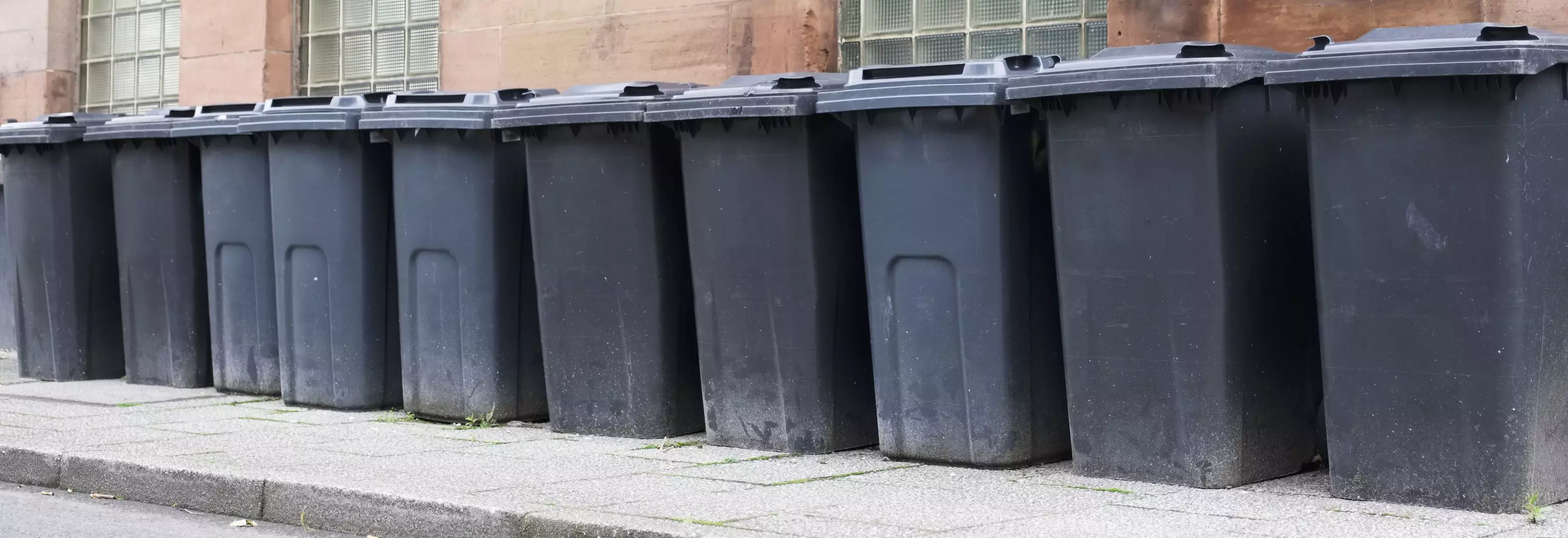 What Happens If You Don’t Clean Your Wheelie Bin?