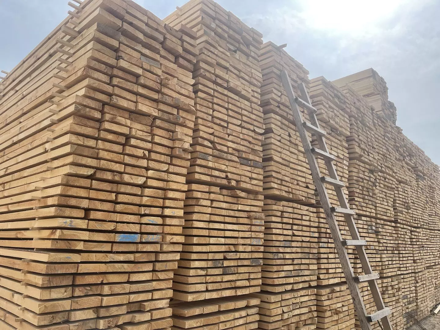 How Can A Timber Merchant Help Me?