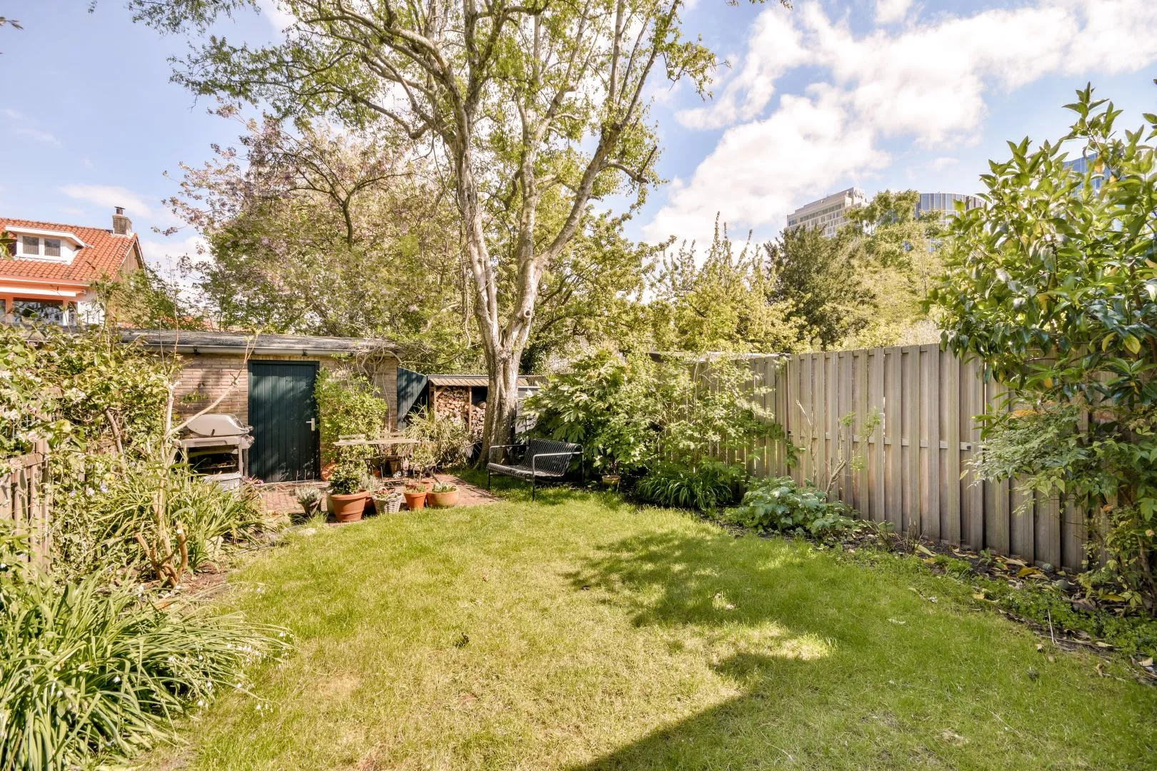 Tree Surgery Services Newbury, Donnington, Thatcham