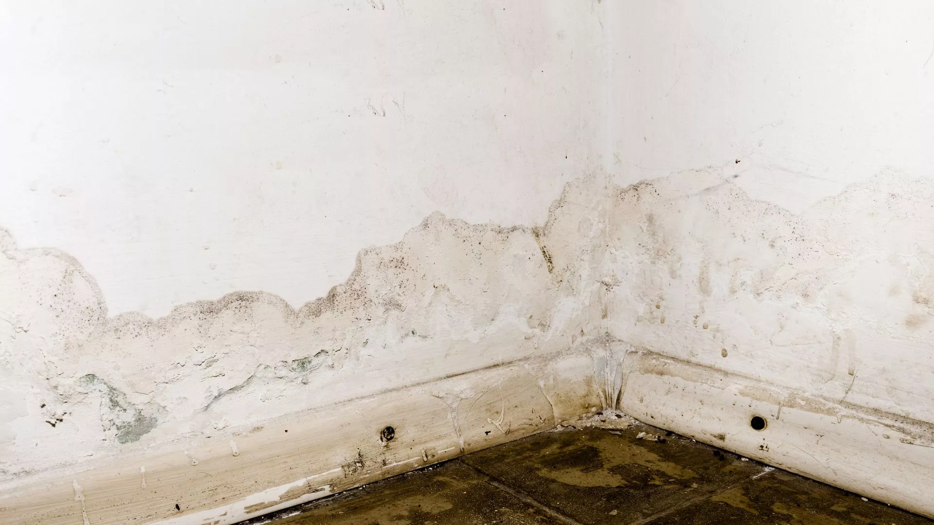 Environmental Services Nottingham, Newark, Mansfield & Nottinghamshire