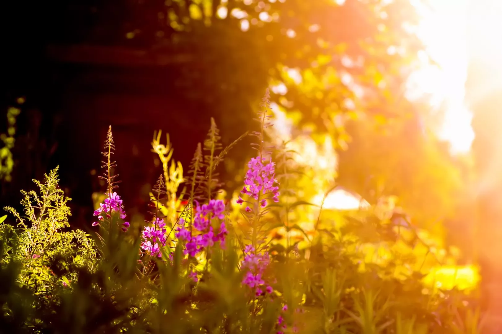 How To Keep Wheelie Bin Fresh In Summer