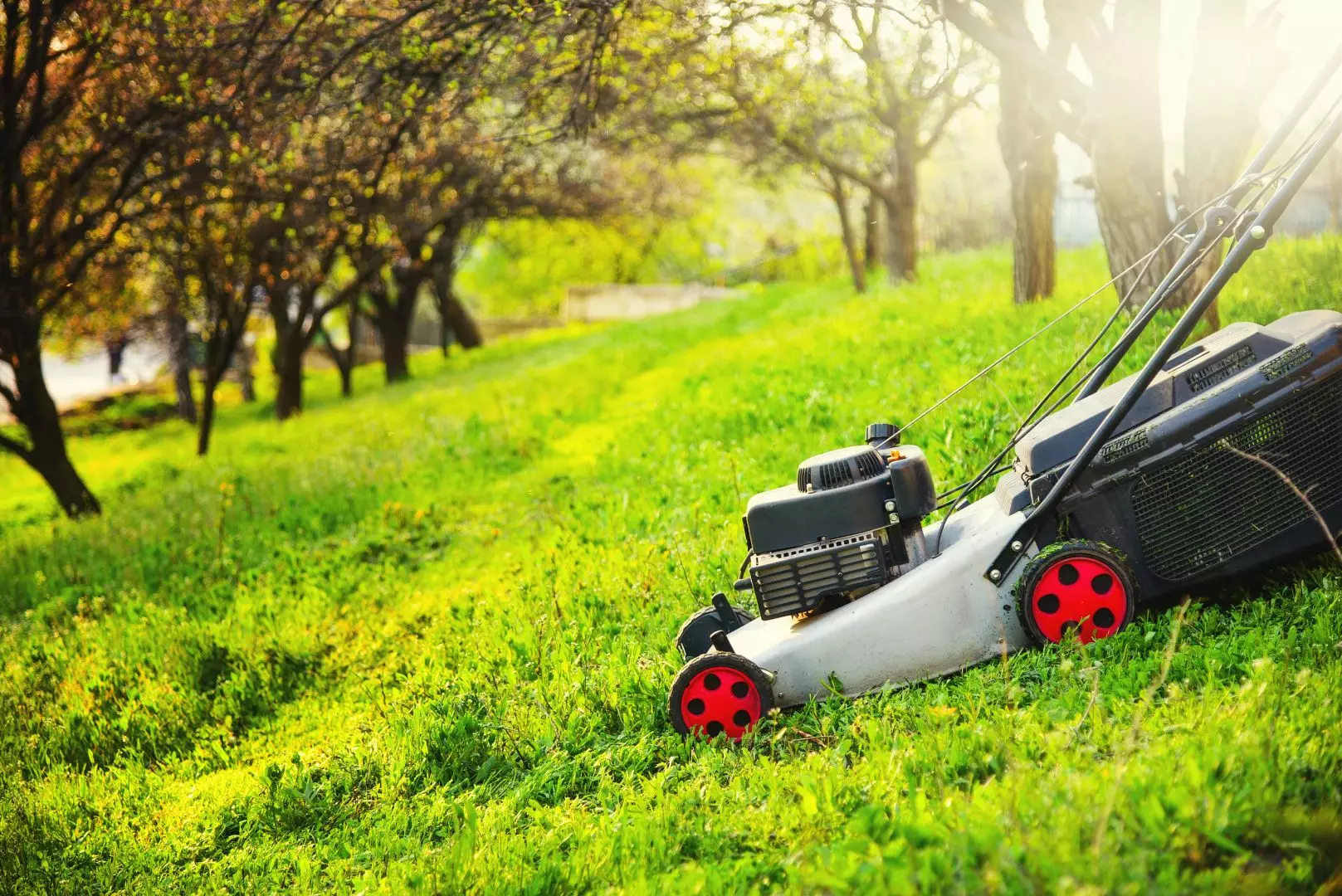 Protects Your Warranty - Regular Garden Machinery Servicing Is Important