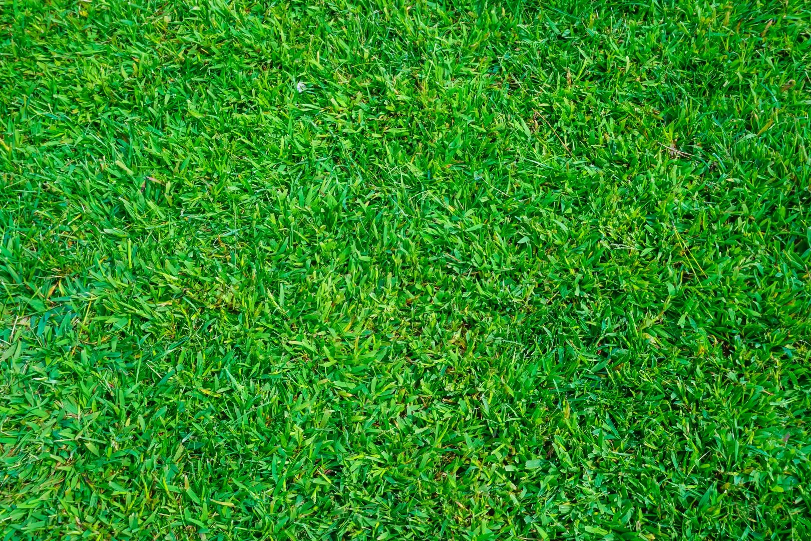 How Do You Clean Fake Grass?