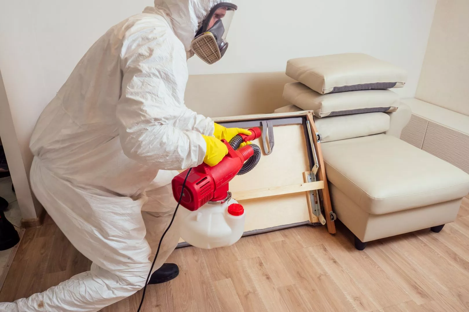 Pest Control & Removal Nottingham, Newark, Mansfield & Nottinghamshire