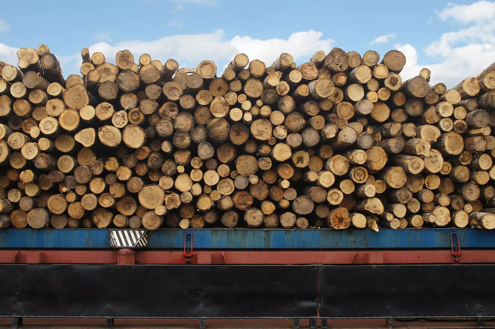 Questions To Ask Your Timber Merchant Before Buying