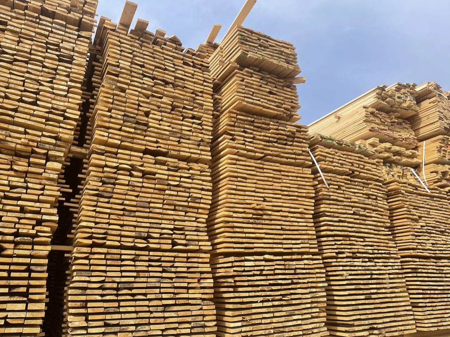 Drying Timber Before Cutting
