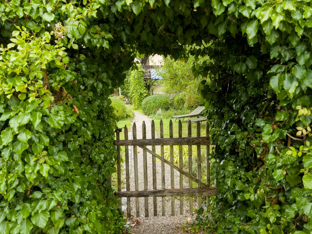 Garden Gate Ideas To Revitalise Your Home