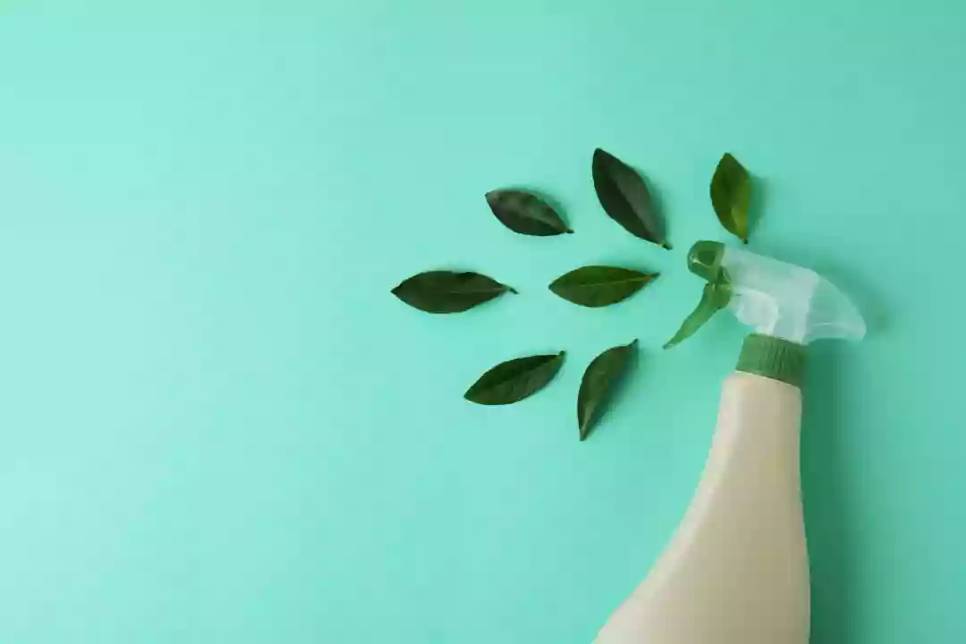 Eco-friendly Cleaning Services: How To Maintain A Clean Home While Being Environmentally Conscious