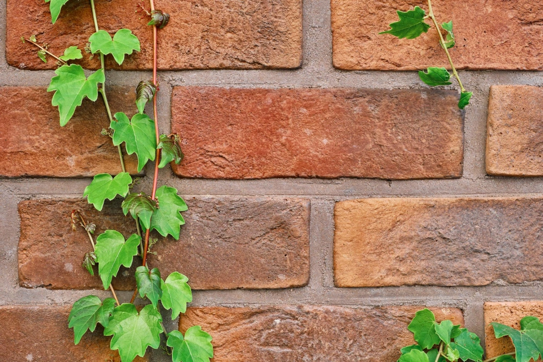 What Type Of Brickwork Is Best For A Garden Wall?