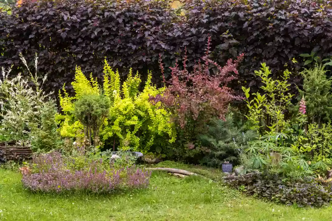 Will A Landscaped Garden Add Value To Your Home?
