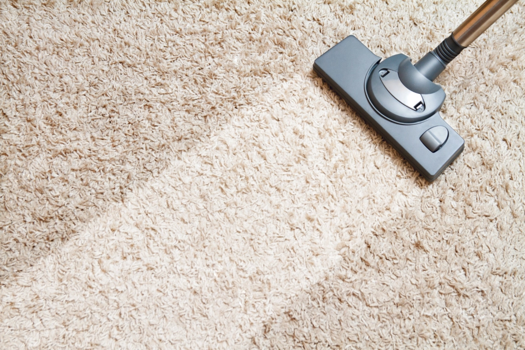 What's The Difference Between A Steam Cleaner and A Carpet Cleaner?