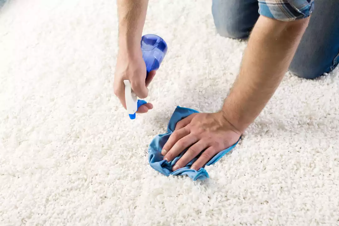 What Is The Best Method To Clean Carpets?