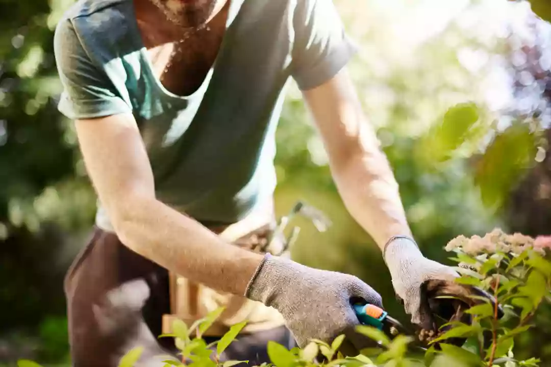 How To Choose The Right Landscape Gardener For Your Project