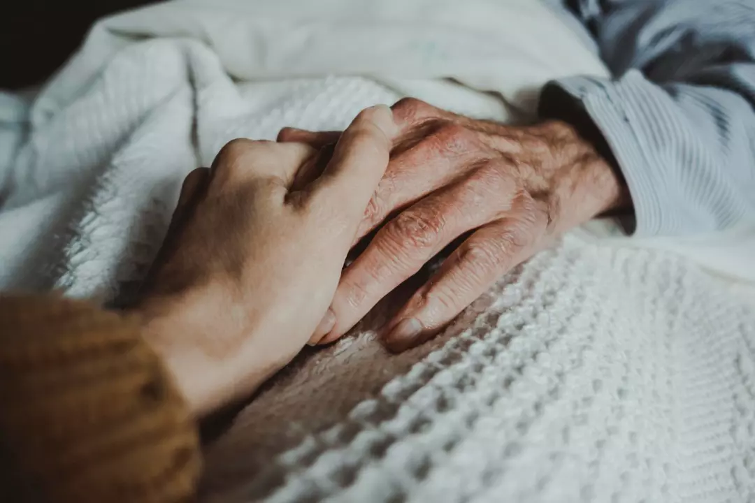 Palliative Home Care: Providing Comfort and Dignity In End-of-Life Care