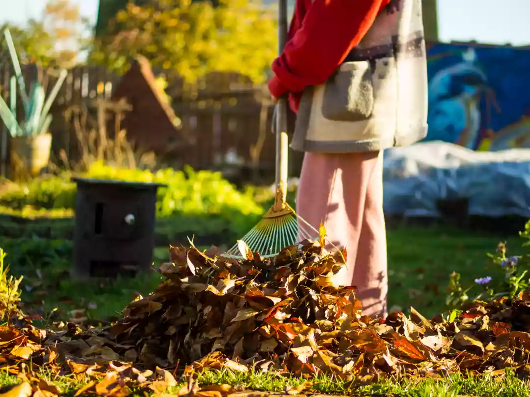 Which Waste Can Garden Clearance Companies Deal With?