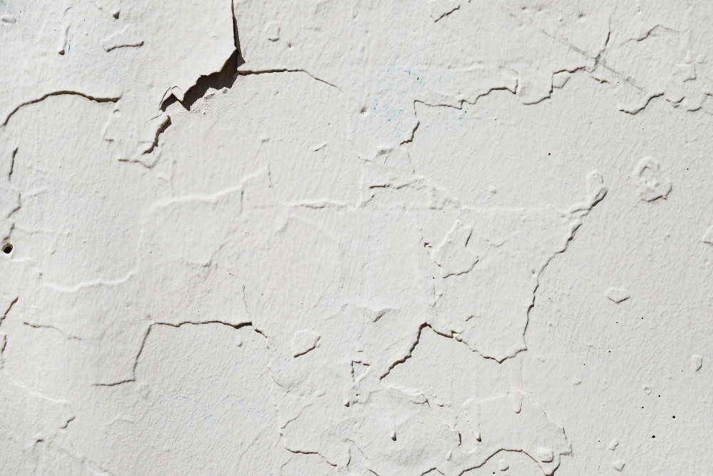 What Damp Can Do To Your Plaster and How To Fix It