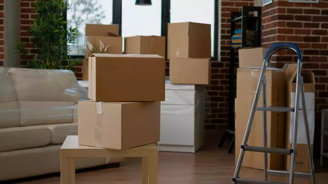 Important Questions To Ask Before Hiring A Removal Company 