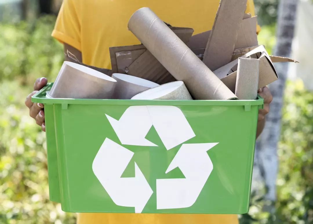 Top Reasons Why You Should Hire A Professional Waste Management Company