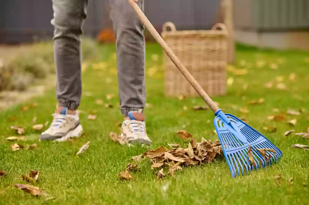 Why Is Garden Clearance So Important?