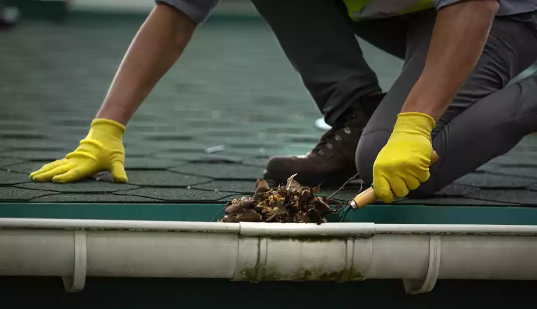 How Much Do Most People Charge To Clean Gutters?