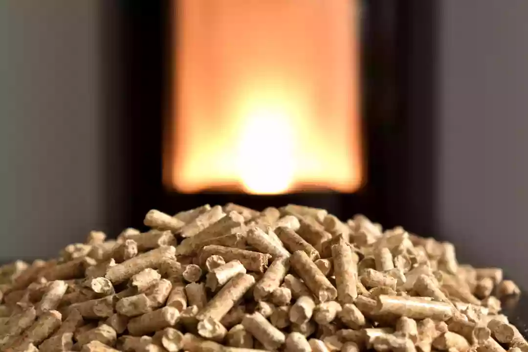 Can You Use Biomass At Home?