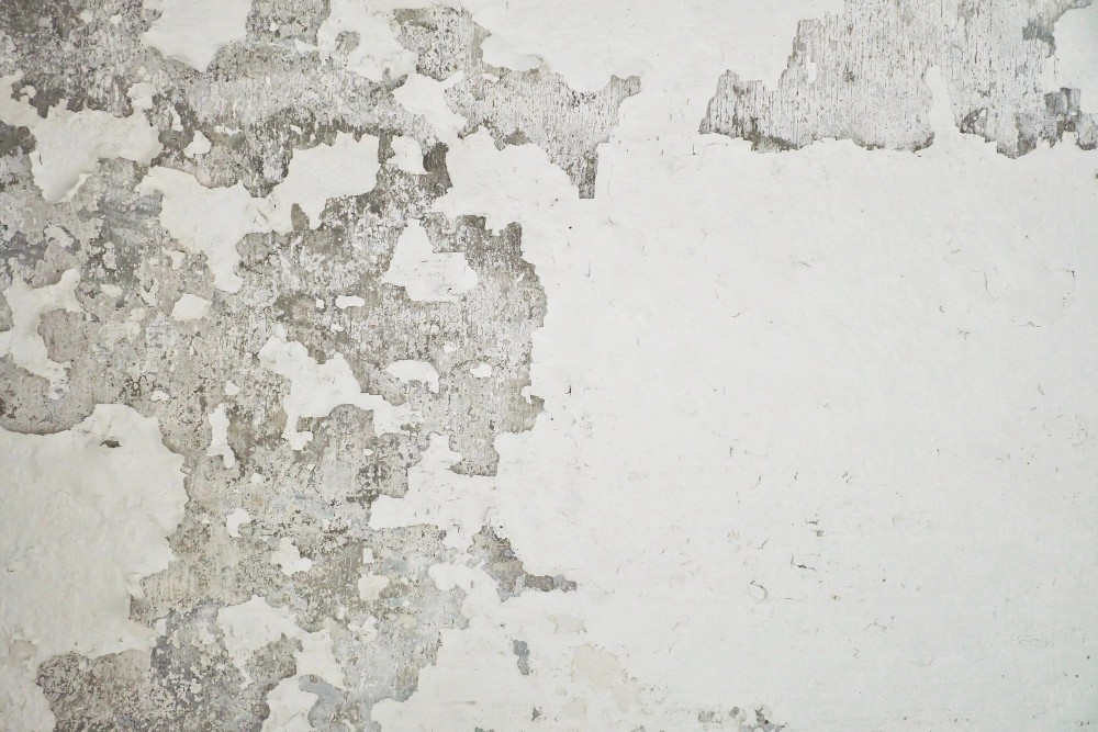 How To Choose The Right Local Plasterer For The Job