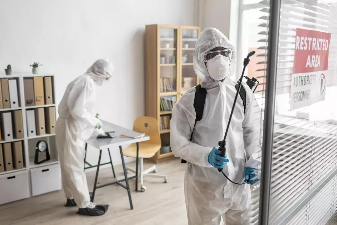 How To Choose The Right Pest Control Company For Your Needs