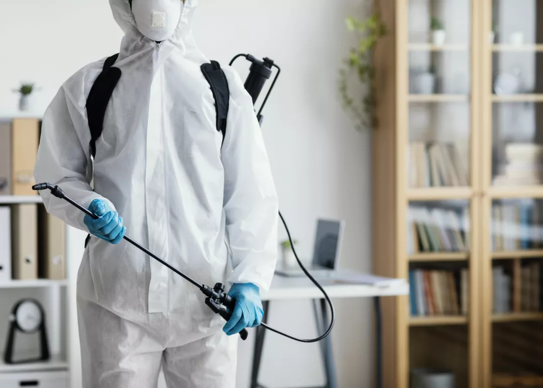 Why Hiring A Professional Pest Control Company Is The Best Option For Your Business