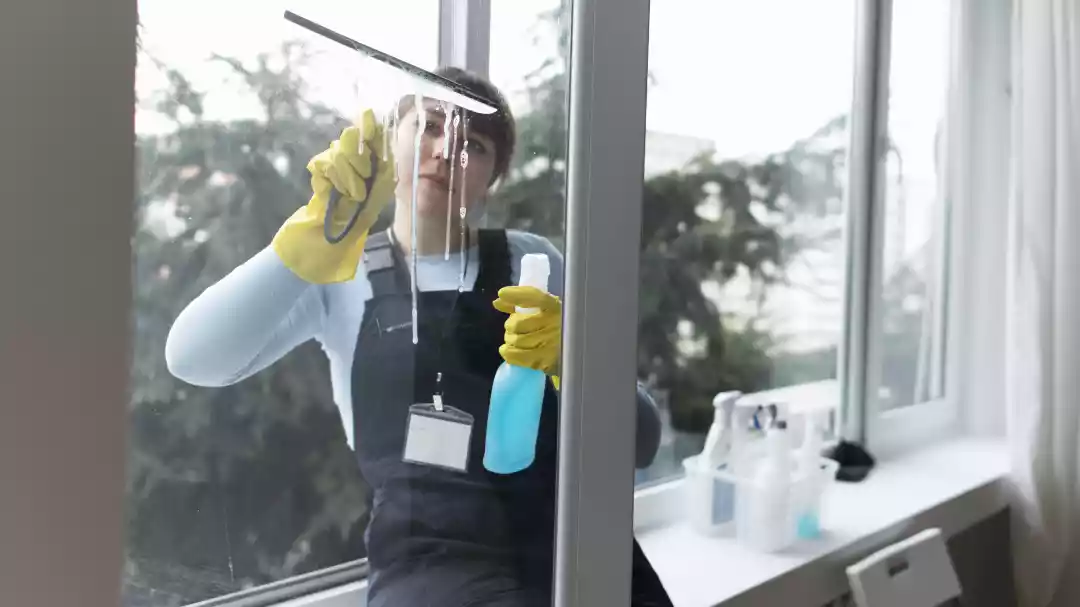 How To Prepare For Your Window Cleaning Appointment