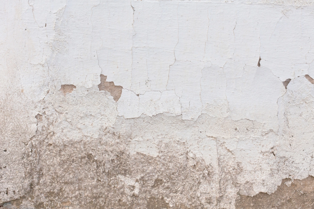 Should You Try To Repair Plaster Yourself Or Call A Professional?