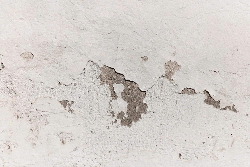 How To Prevent Future Cracks After Your Plaster Has Been Repaired