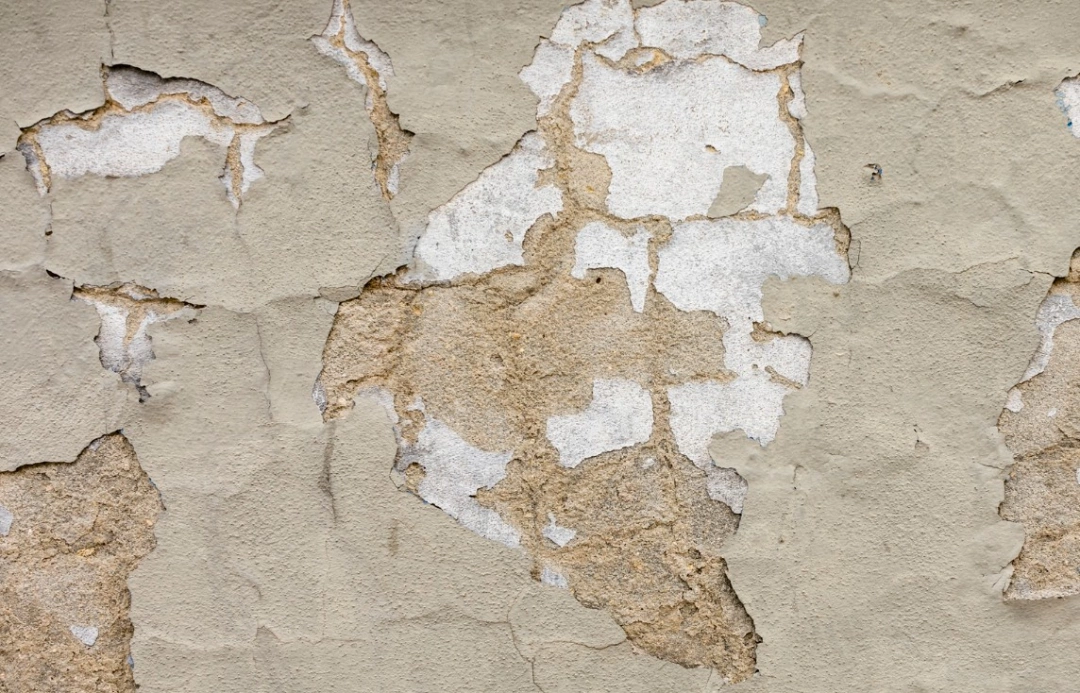 Can You Paint Over Damaged Plaster Or Should You Fix It First?
