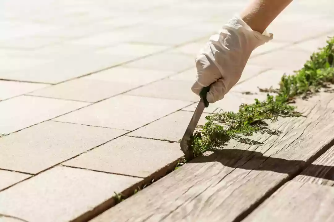 Common Driveway and Patio Cleaning Mistakes To Avoid