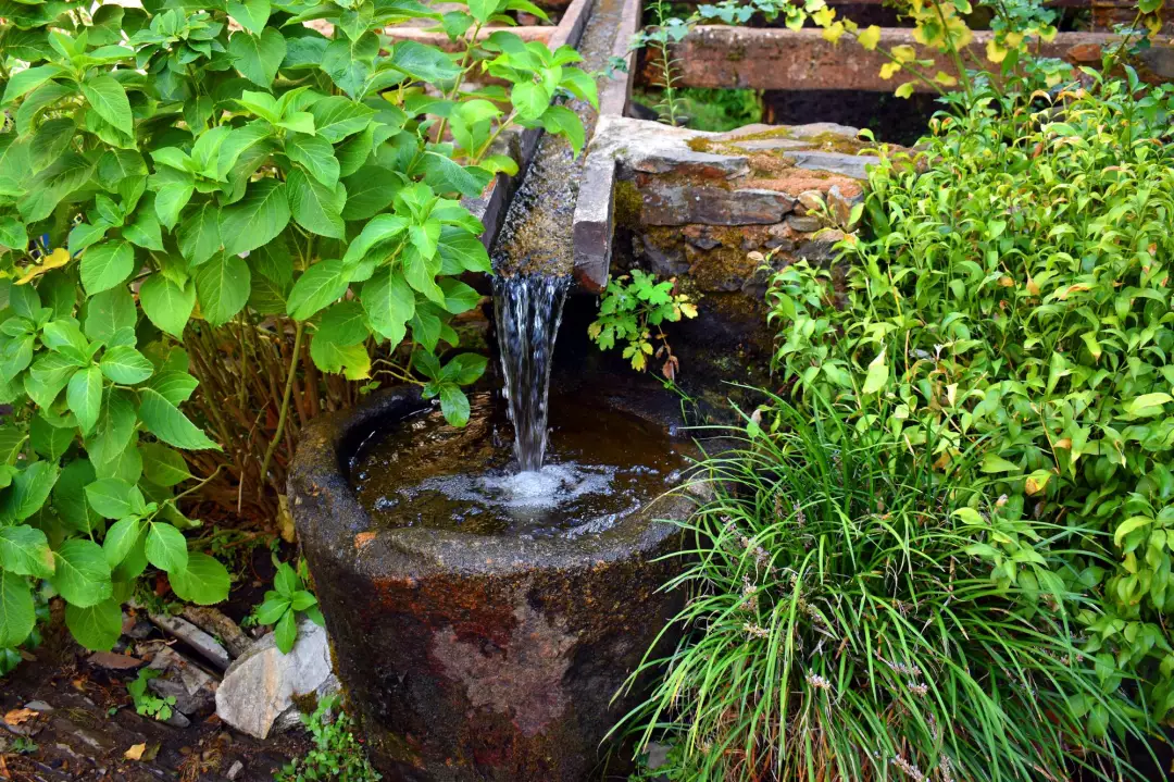 The Benefits Of Water Features In Garden Design: Insights From Expert Landscape Gardeners