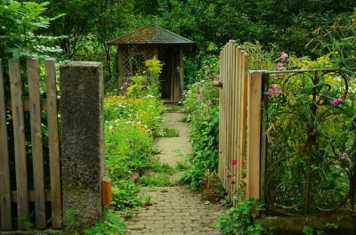 Gate and Fencing