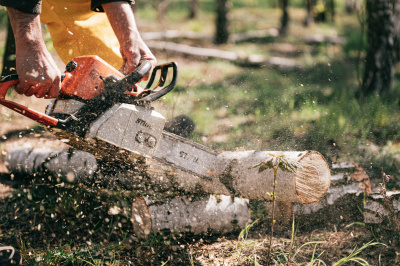 Chainsaw Hire
