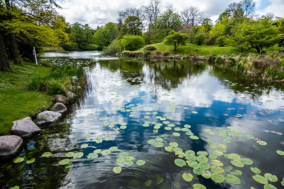 Pond Builder